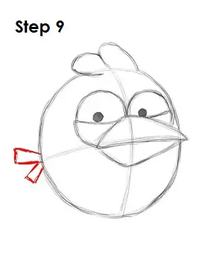 Draw Blue Angry Bird Step 9