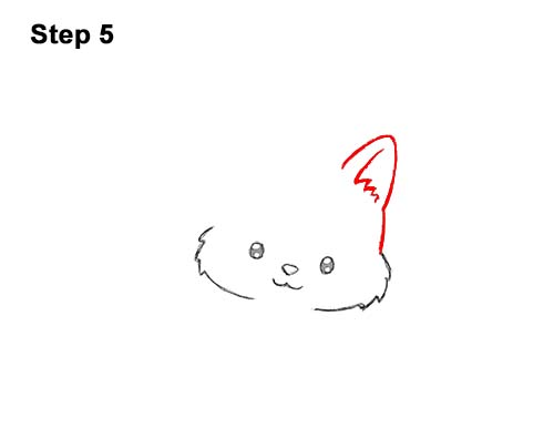 how to draw a cartoon cat eye