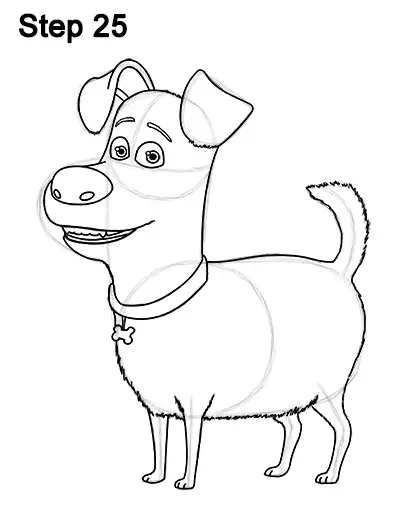 How to Draw Max from The Secret Life of Pets