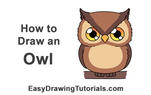 How to Draw an Owl for Halloween VIDEO & Step-by-Step Pictures