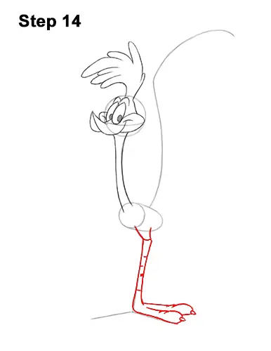 How to Draw Road Runner Looney Tunes 14