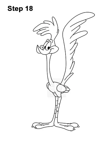 How to Draw Road Runner Looney Tunes 18