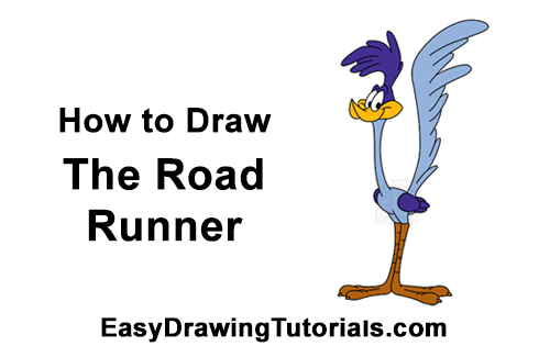 How to Draw Road Runner Looney Tunes