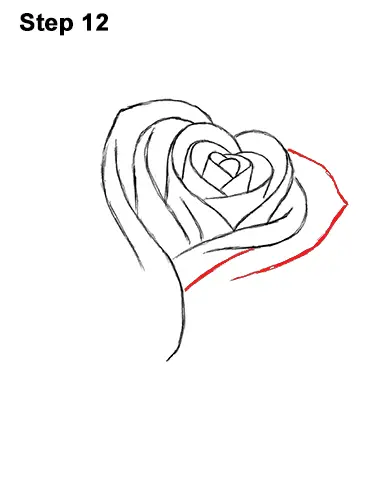 How to Draw Red Rose 12