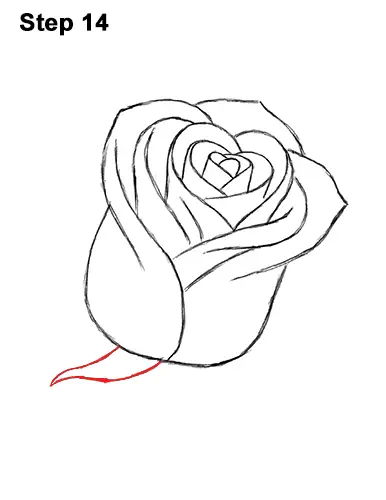 How to Draw Red Rose 14
