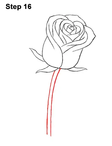 How to Draw Red Rose 16