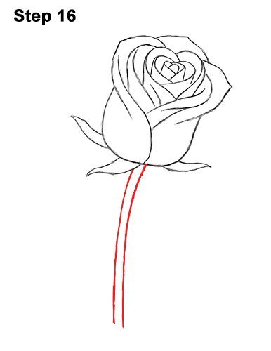 How To Draw A Rose