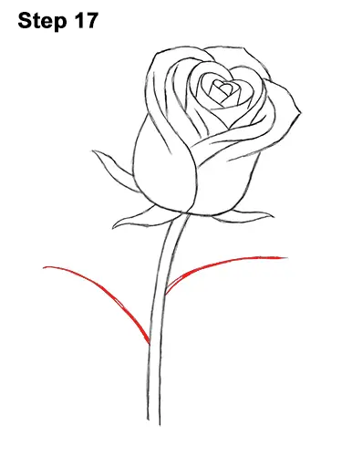 How to Draw Red Rose 17