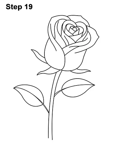 How to Draw Red Rose 19