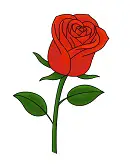 How to Draw Cartoon Flower Rose