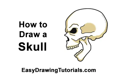 How to Draw a Scary Creepy Evil Skull Side View Halloween