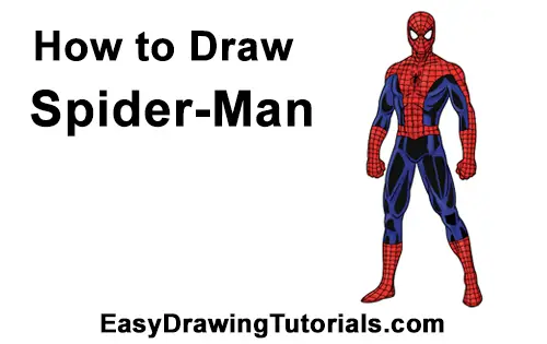 How to Draw Spider-Man Body
