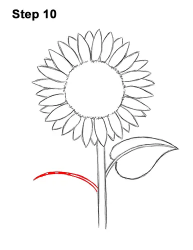 How to a Draw Cartoon Yellow Flower Sunflower 10