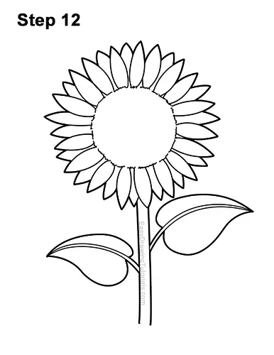 How to a Draw Cartoon Yellow Flower Sunflower 12