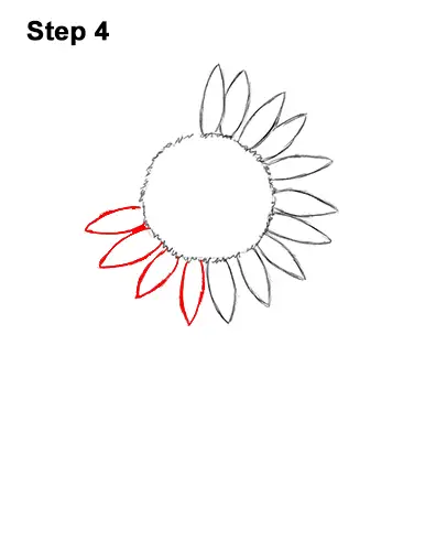 How to a Draw Cartoon Yellow Flower Sunflower 4