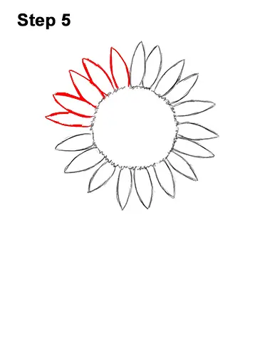 How to a Draw Cartoon Yellow Flower Sunflower 5
