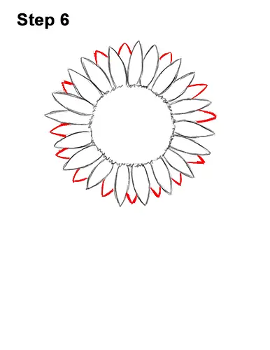How to a Draw Cartoon Yellow Flower Sunflower 6