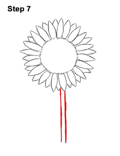 How to a Draw Cartoon Yellow Flower Sunflower 7