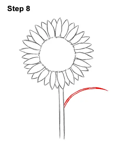 How to a Draw Cartoon Yellow Flower Sunflower 8