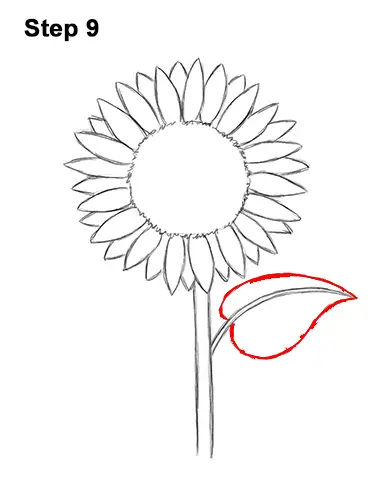 How to a Draw Cartoon Yellow Flower Sunflower 9