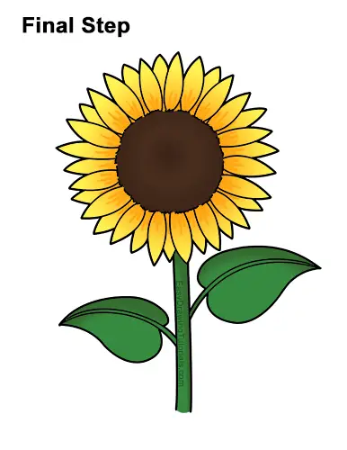 How To Draw A Sunflower Video Step By Step Pictures