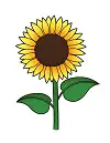 How to Draw Cartoon Flower Sunflower