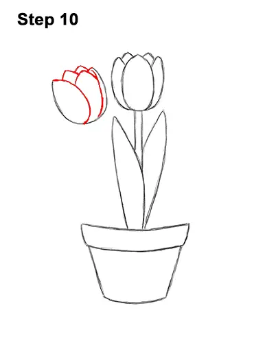 How to Draw Cartoon Pink Flowers Tulips 10