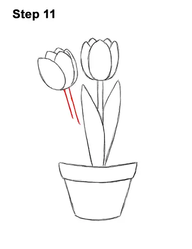 How to Draw Cartoon Pink Flowers Tulips 11