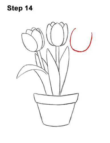 How to Draw Cartoon Pink Flowers Tulips 14