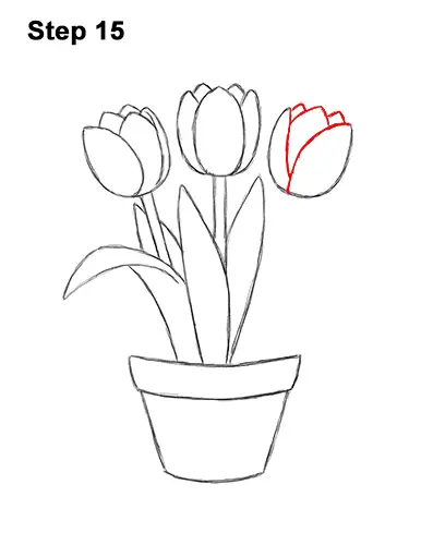 How to Draw Cartoon Pink Flowers Tulips 15