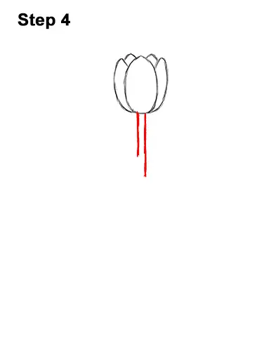 How to Draw Cartoon Pink Flowers Tulips 4